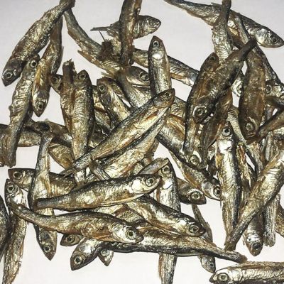 Image showing  6 pk. of 10 oz. bags of Dried Minnows, Mealworms, Shrimp Protein-Rich Snack for Poultry