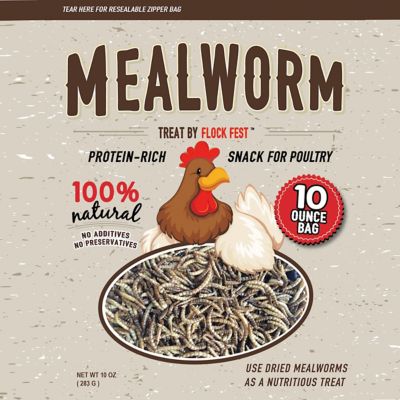 Flock Fest Dried Mealworms Poultry Treats, 6-Pack