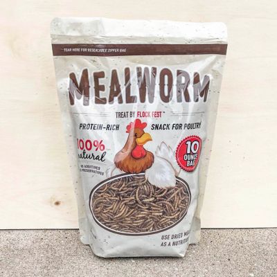 Image showing  Dried Mealworms Poultry Treats, 6-Pack