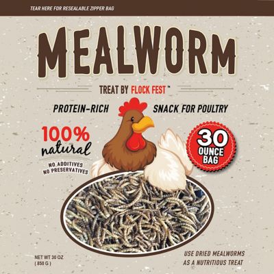 Flock Fest Dried Mealworms Poultry Treats, 3 pk.