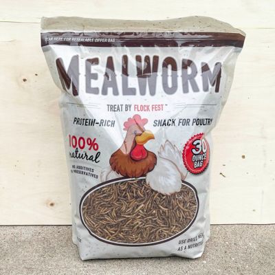 Image showing  Dried Mealworms Poultry Treats, 3-Pack