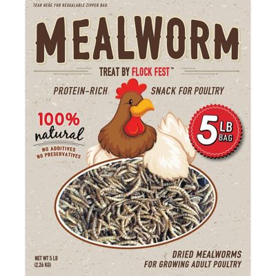 Flock Fest 5 lb. Dried Mealworm Poultry Treats, 2-Pack