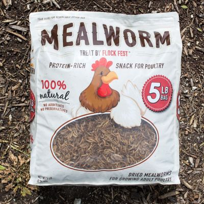 Image showing  5 lb. Dried Mealworm Poultry Treats, 4 pk.