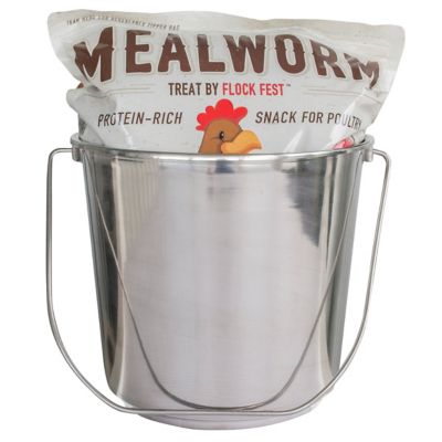 Image showing  Dried Mealworms and Bucket Kit