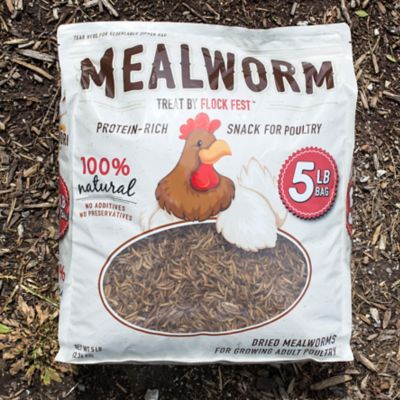 Image showing  Dried Mealworms and Bucket Kit