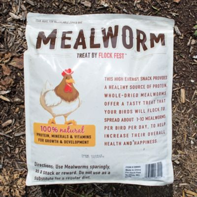 Image showing  Dried Mealworms and Bucket Kit