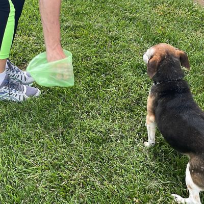 Image showing  200 Rolls (4,000 bags) Standard Size Dog Waste Bags with 4 Leash Clip Dispensers