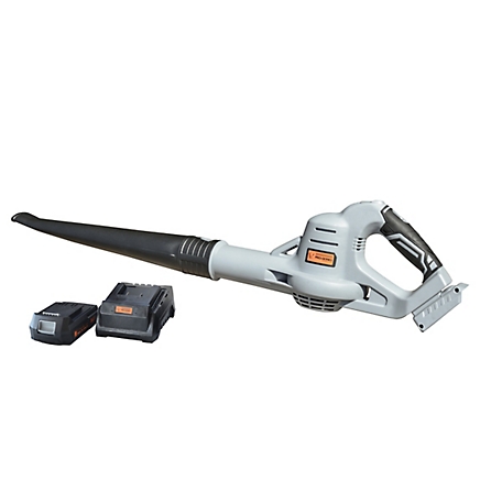 Pro-Series Cordless Blower with 20V Lithium Ion Rechargeable Battery and Charger