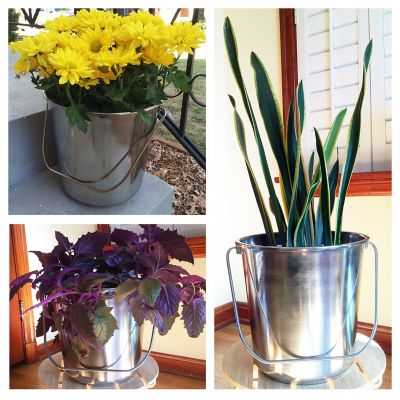 Image showing  1 gal. Stainless Steel Bucket Set, 6 pc.