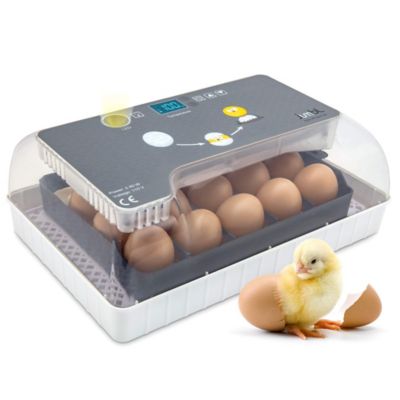 JUMBL Jumbl Clear 12 Egg Incubator, Digital Egg Incubator with Automatic Egg Turning and Humidity Control