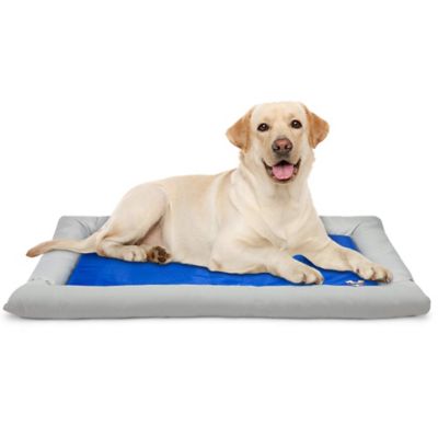 Arf Pets Solid Gel-Based Self-Cooling Dog Mat with Foam-Based Bolster Pet Bed, 26 in. x 40 in.