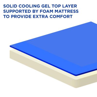 Image showing  Solid Gel-Based Self-Cooling Dog Mat with Foam-Based Bolster Pet Bed, 26 in. x 40 in.