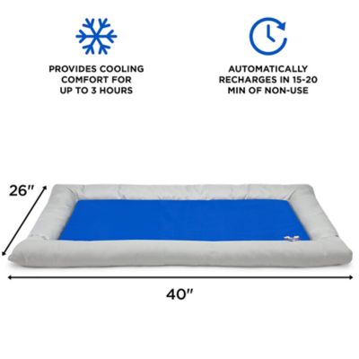 Image showing  Solid Gel-Based Self-Cooling Dog Mat with Foam-Based Bolster Pet Bed, 26 in. x 40 in.