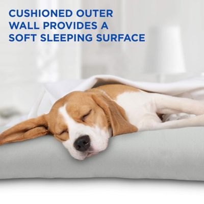 Image showing  Solid Gel-Based Self-Cooling Dog Mat with Foam-Based Bolster Pet Bed, 26 in. x 40 in.