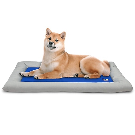 Arf Pets Self Dog Cooling Mat, Solid Gel Based Pet Cooling Mat with Foam Based Bolster Bed - 22 in.x35 in.