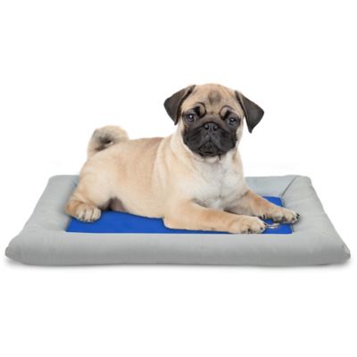 Dog heating pad tractor supply hotsell