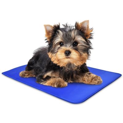 ARF Pets Self Cooling Mat Gel Based Dog Mat Pet Bed X Small Blue