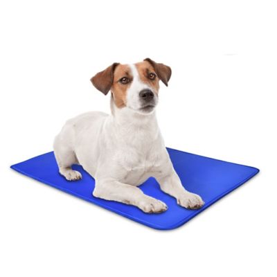 Arf Pets Dog Cooling Mat, Durable, Non-Toxic Gel Dog Bed Mat for Kennels, Crates & Beds - Small