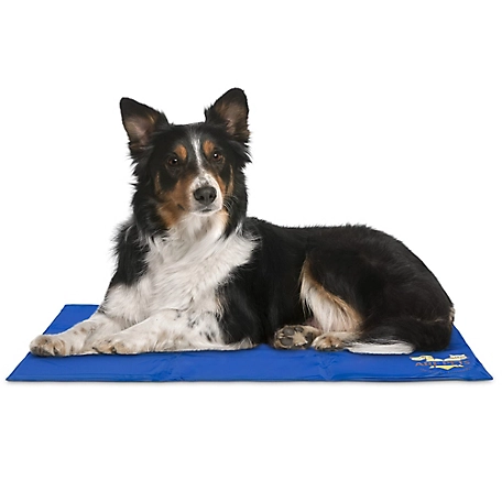 Arf Pets Dog Cooling Mat 19x35, Durable, Non-Toxic Gel Dog Bed Mat for Kennels, Crates & Beds