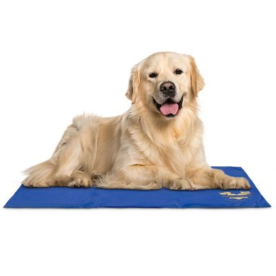 Arf Pets Durable Non-Toxic Cooling Gel Dog Bed Mat for Kennels, Crates and Beds, 31 in. x 37 in.