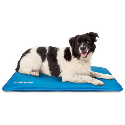 Pawple Dog Cooling Mat, Dog Bed Mat for Kennels, Crates and Beds with Thick Foam Base 32x 22in.