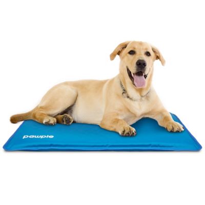 Pawple Cooling Dog Bed Mat for Kennels, Crates and Beds with Thick Foam Base, 44 in. x 32 in.