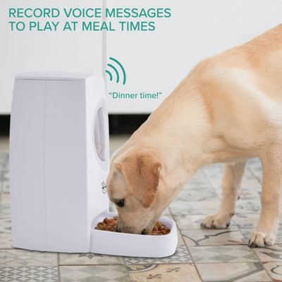 Image showing  Automatic Pet Feeder W/Portion Control, Voice Recorder, & Programmable Up to 4 Meals a Day