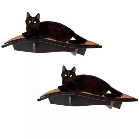 Arf Pets Cat Shelf Curved Wooden Wall Mounted Cat Perch - Holds Cats Up to 44 lbs - Set of 2 Perches & Swings