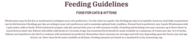 Image showing  All Life Stages Indoor/Outdoor Sensitive Skin and Stomach Salmon Recipe Dry Cat Food, 10 lb. Bag
