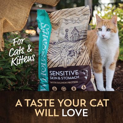 Image showing  All Life Stages Indoor/Outdoor Sensitive Skin and Stomach Salmon Recipe Dry Cat Food, 10 lb. Bag