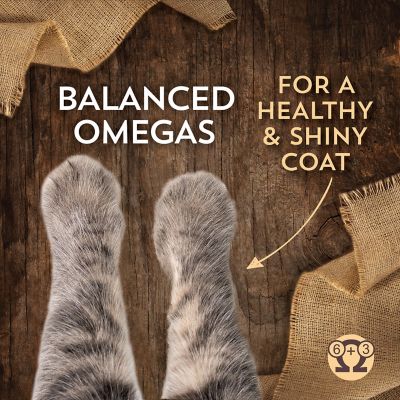 Image showing 5 th Wholesomes All Life Stages Indoor/Outdoor Sensitive Skin and Stomach Salmon Recipe Dry Cat Food, 10 lb. Bag