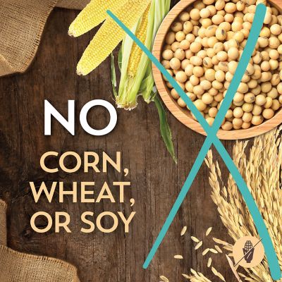 Image showing 6 th Wholesomes All Life Stages Indoor/Outdoor Sensitive Skin and Stomach Salmon Recipe Dry Cat Food, 10 lb. Bag