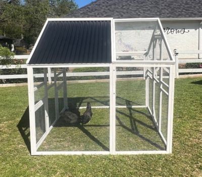 Image showing  Modern Universal Poultry Pen, 10 Chicken Capacity, Medium