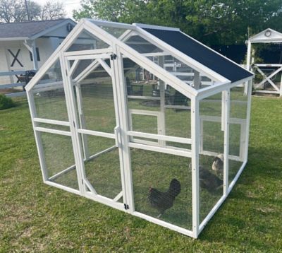 Image showing  Modern Universal Poultry Pen, 10 Chicken Capacity, Medium