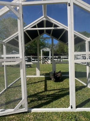 Image showing  Modern Universal Poultry Pen, 10 Chicken Capacity, Medium