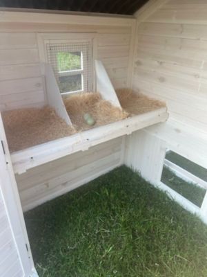 Image showing  Modern Nesting & Roosting House, 10 Chicken Capacity, Poultry Pen Sold Separately