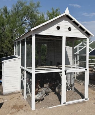 Zylina Modern Open Concept Chicken Coop