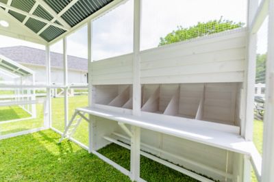 Image showing 8 th Zylina Modern Open Concept Chicken Coop, 15 Chicken Capacity