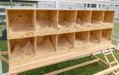 Image showing  Best Rest 12 Bay Nesting Box