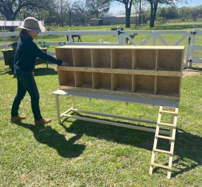 Image showing 5 th Zylina Best Rest 12 Bay Nesting Box