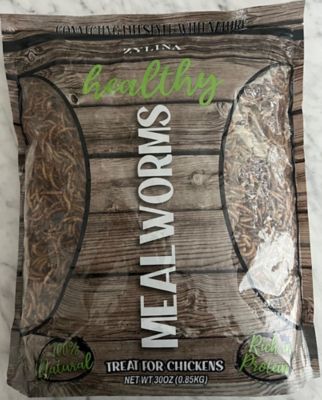 Zylina Healthy Mealworms 30oz Bag