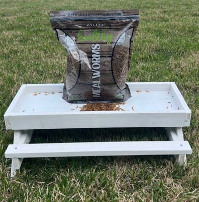 Image showing  Healthy Mealworm Poultry Treats