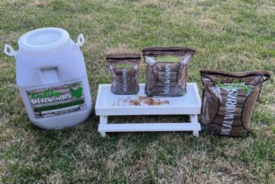 Image showing 7 th Zylina Healthy Mealworm Poultry Treats