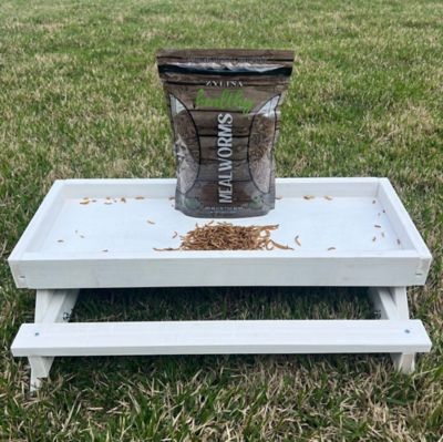 Image showing  Healthy Mealworms