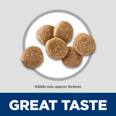 Image showing  Adult Indoor/Outdoor Salmon and Brown Rice Recipe Dry Cat Food