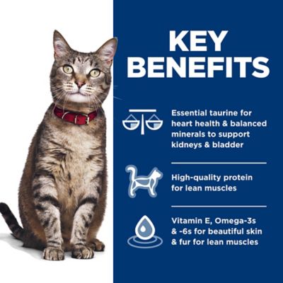 Image showing  Adult Indoor/Outdoor Salmon and Brown Rice Recipe Dry Cat Food