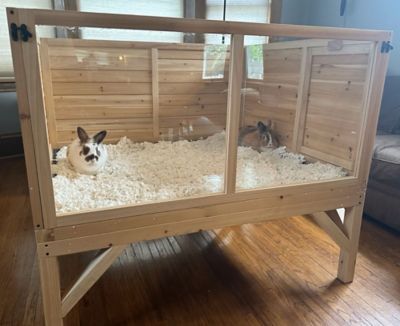 Image showing  Raised Guinea Pig and Rabbit House, 48 in. x 40 in. x 40 in.