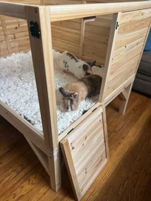 Image showing  Raised Guinea Pig and Rabbit House, 48 in. x 40 in. x 40 in.