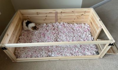 Image showing  Healthy Habitat For Guinea Pigs - 1 Bay