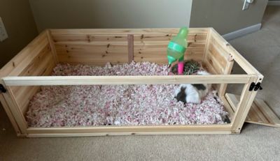 Image showing  Healthy Habitat For Guinea Pigs - 1 Bay